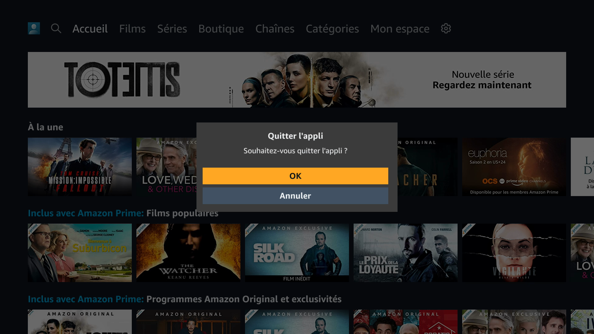 ACC S APPLICATION AMAZON PRIME MUSIC SUR D CODEUR TV visual data 3